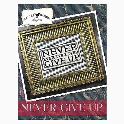 Never Give Up