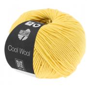 Cool Wool - Vanille 0411