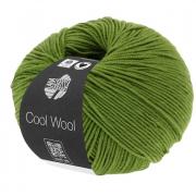 Cool Wool - Vert tilleul 0471