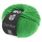 Cool Wool - Vert pomme 0504