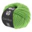 Cool Wool - Vert clair 0509