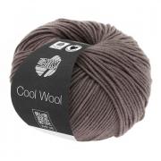 Cool Wool - Gris-brun 0558