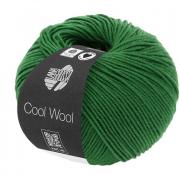 Cool Wool - Vert 2017