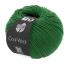 Cool Wool - Vert 2017