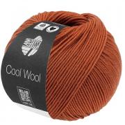 Cool Wool - Cannelle 2125