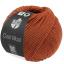 Cool Wool - Cannelle 2125