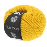 Cool Wool - Jaune doré 2005