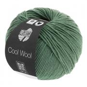 Cool Wool - Gris-vert foncé 2021
