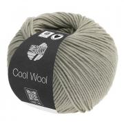 Cool Wool - Gris-beige 2027