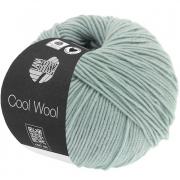 Cool Wool - Gris glacier 2028