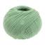 Cool Wool - Vert réséda 2078