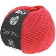 Cool Wool - Homard 2112