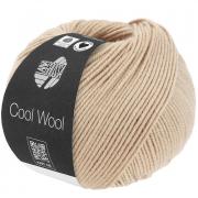 Cool Wool - Gris perle 2114