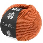 Cool Wool - Brun orangé 2116