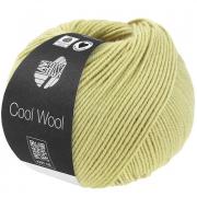 Cool Wool - Vert pastel 2122