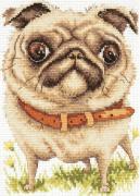 Pug-dog